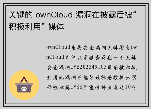 关键的 ownCloud 漏洞在披露后被“积极利用” 媒体