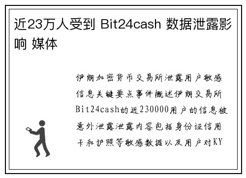 近23万人受到 Bit24cash 数据泄露影响 媒体